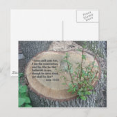 聖なる書物、 経典はがき ポストカード (正面/裏面)