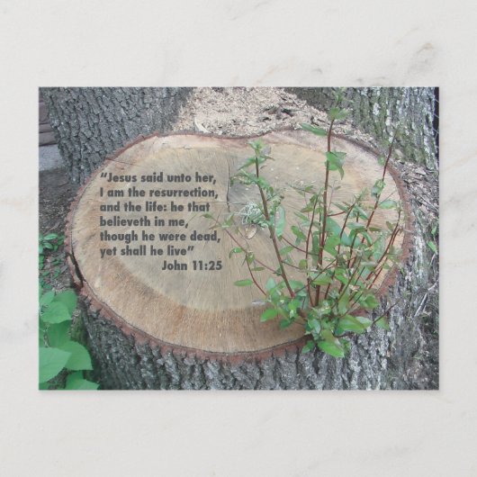 聖なる書物、 経典はがき ポストカード (正面)