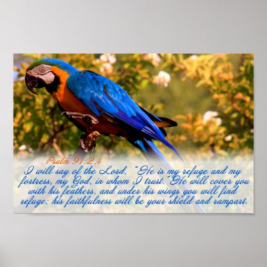 聖なる書物、 経典プリント: Psalm 91:2,4 with Blue Macaw ポスター (正面)