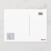 聖なる書物、 経典付オリジナルデザイン写真 ポストカード (裏面)