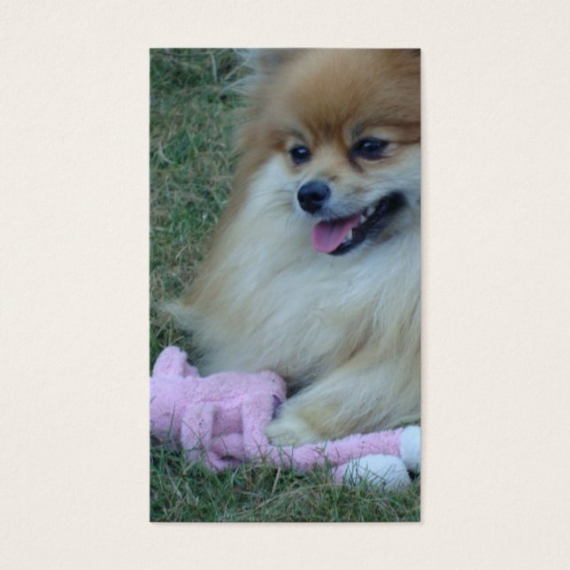 聖なる書物、 経典作成おもしろい：詩篇37:4 (正面)