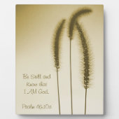 聖なる書物、 経典感動的ファインアートブラウングラスヘッド フォトプラーク (正面)