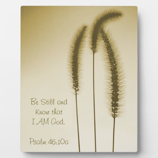 聖なる書物、 経典感動的ファインアートブラウングラスヘッド フォトプラーク (正面)