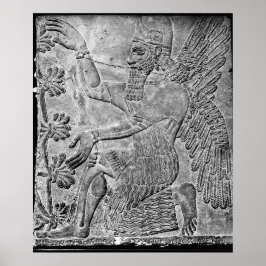 聖なる木を崇拝する翼のあるジェニー ポスター (正面)