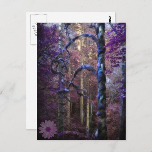 聖なる森 ポストカード (正面/裏面)
