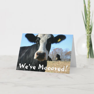 聖なる牛の動き 案内状