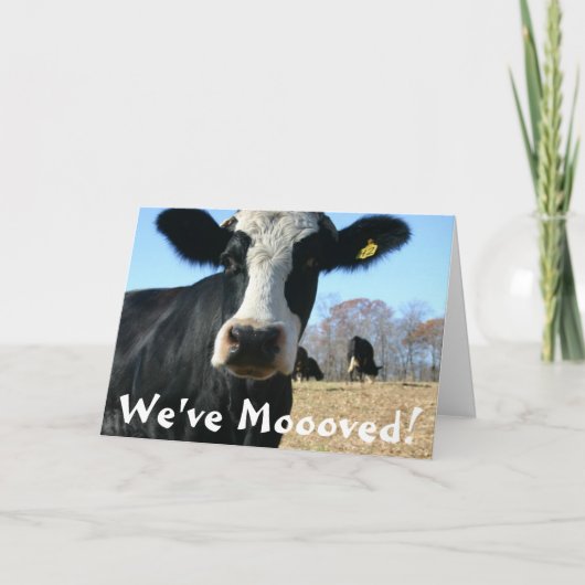 聖なる牛の動き 案内状 (正面)