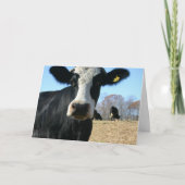 聖なる牛の動き 案内状 (正面)