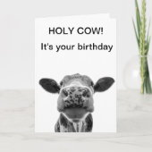 聖なる牛の誕生日黒と白の牛よ カード (正面)