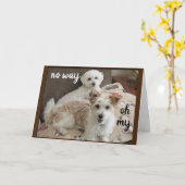 聖なる牛は子犬に「60歳になる」と言う カード (黄色い花)