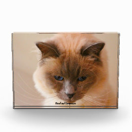 聖なる猫 フォトブロック