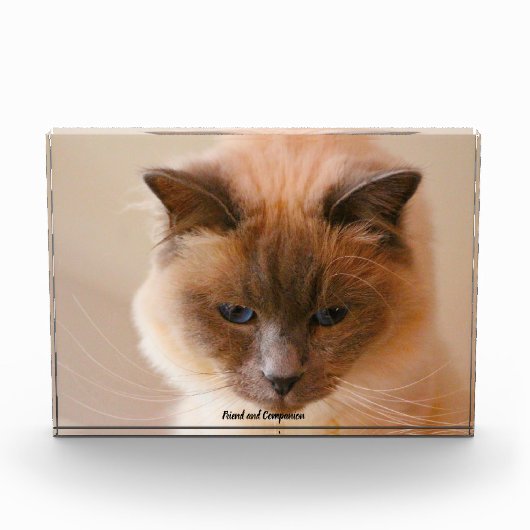 聖なる猫 フォトブロック (正面)