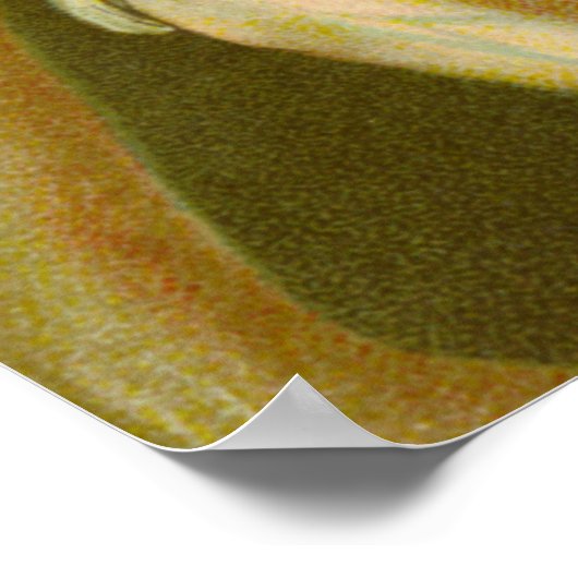 聖アガタ殉教(M 003) ポスター (角)