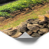 聖エミリオンブドウ園 ポスター (角)