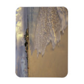 聖カリブのマーチン(聖マーテン)。マホ湾 マグネット (縦)