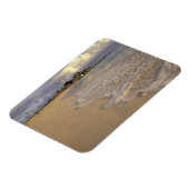 聖カリブのマーチン(聖マーテン)。マホ湾 マグネット (左側)