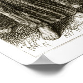 聖コロンバは叫び、ドルイド軍に襲われた。 ポスター (角)