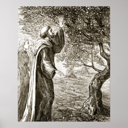 聖コロンバは苦い果実を甘いものに変える ポスター (正面)