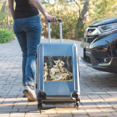 聖ジョージとドラゴン シール (スーツケースインサイチュ)