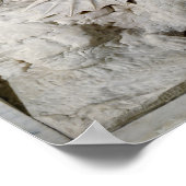 聖ジョージとドラゴン， 1508 ポスター (角)