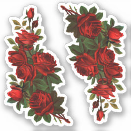 聖ジョージの日のバラ(fR) シール