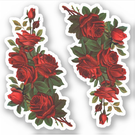 聖ジョージの日のバラ(fR) シール (正面)