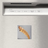 聖セルニンの宝から生まれた隠遁者 マグネット (インサイチュ (食洗機))