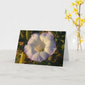 聖ダトラ花砂漠の野花 カード (黄色い花)