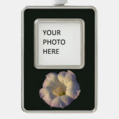 聖ダトラ花砂漠の野花 シルバープレートフレームオーナメント (正面)