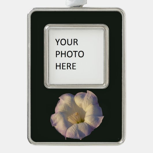 聖ダトラ花砂漠の野花 シルバープレートフレームオーナメント (正面)