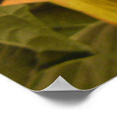 聖ダトラ花砂漠の野花 ポスター (角)