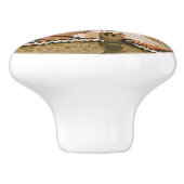 聖ニコラス教会 – コトル – モンテネグロ セラミックノブ (側面)