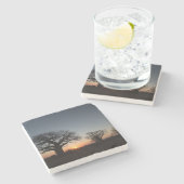 聖バオバブ ストーンコースター (横)