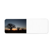 聖バオバブ ラベル (正面)