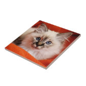 聖バーマンキッテン タイル (側面)