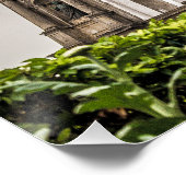 聖パウロ教会のマカオ廃墟中国土産 ポスター (コーナー)