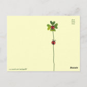 聖パトリックの日クローバー&ラディバグ ポストカード (裏面)