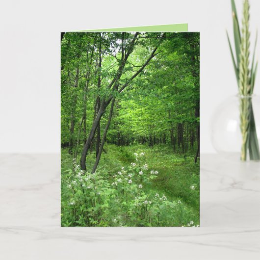 聖パトリックの日：ウッドランドの道 カード (正面)