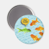 聖パトリックの日、金魚のユーモア マグネット (正面/裏面)