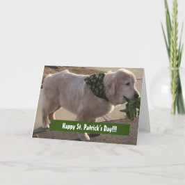 聖パトリックの賛美日 –  カード