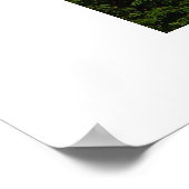 聖ビタス大聖堂 ポスター (角)