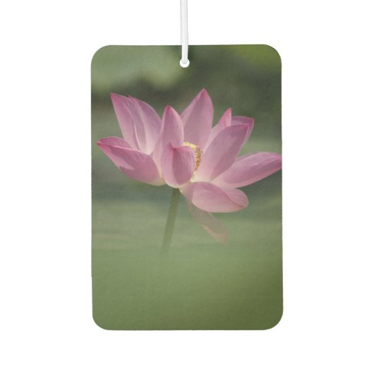 聖ピンクの蓮の花 – メッドのための穏やかな禅の芸術 カーエアーフレッシュナー (正面)