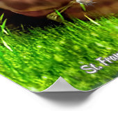 聖フランシスと説教壇の説教者が鳥を取り除く ポスター (角)