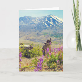 聖ヘレン山 シーズンカード