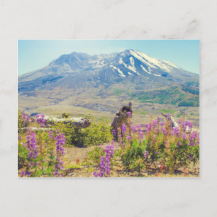 聖ヘレン山 ポストカード