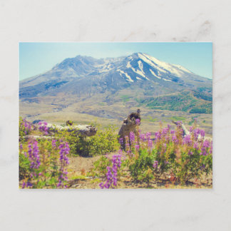 聖ヘレン山 ポストカード
