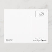 聖マリアの悲しみ ポストカード (裏面)