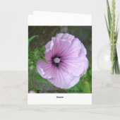 聖マリア教会 カード (裏面)