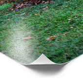 「聖ミカエルの十字架」 フォトプリント            (角)