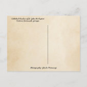 聖ヨハネのサバンナ大聖堂からのメリークリスマス シーズンポストカード (裏面)